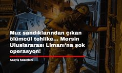 Muz sandıklarından çıkan ölümcül tehlike... Mersin Uluslararası Limanı'na şok operasyon!