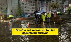 Ordu'da sel sonrası su tahliye çalışmaları sürüyor