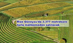 Rize Güneysu’da 3.377 metrekare tarla mahkemeden satılacak