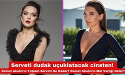 Serveti dudak uçuklatacak cinsten! Demet Akalın'ın Toplam Serveti Ne Kadar? Demet Akalın'ın Mal Varlığı Neler?