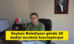 Seyhan Belediyesi günde 20 kediyi ücretsiz kısırlaştırıyor