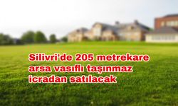 Silivri'de 205 metrekare arsa vasıflı taşınmaz icradan satılacak