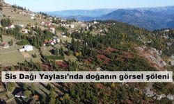 Sis Dağı Yaylası’nda doğanın görsel şöleni