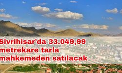 Sivrihisar’da 33.049,99 metrekare tarla mahkemeden satılacak