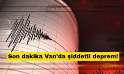 Son dakika Van'da şiddetli deprem! Van'daki depremin şiddeti kaç, nerede oldu?