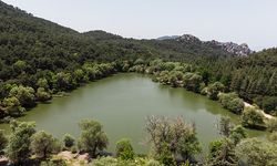 Sonbahar'ın renk cümbüşünde huzurlu kaçış: Karagöl Tabiat Parkı