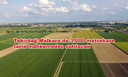 Tekirdağ Malkara'da 3.000 metrekare tarla mahkemeden satılacak