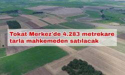 Tokat Merkez'de 4.283 metrekare tarla mahkemeden satılacak