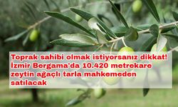 Toprak sahibi olmak istiyorsanız dikkat! İzmir Bergama' da 10.420 metrekare zeytin ağaçlı tarla mahkemeden satılacak