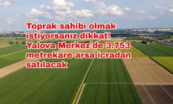 Toprak sahibi olmak istiyorsanız dikkat! Yalova Merkez'de 3.753 metrekare arsa icradan satılacak