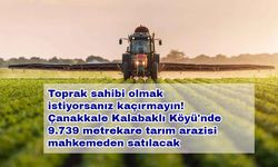 Toprak sahibi olmak istiyorsanız kaçırmayın! Çanakkale'de 9.739 metrekare tarım arazisi mahkemeden satılacak