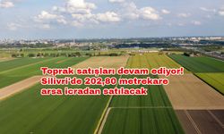 Toprak satışları devam ediyor! Silivri'de 202,80 metrekare arsa icradan satılacak