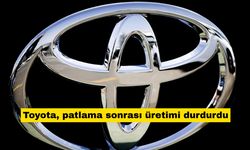 Toyota, patlama sonrası üretimi durdurdu