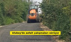 Ulubey’de asfalt çalışmaları sürüyor