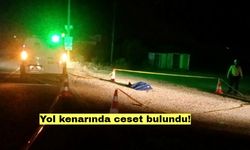 Yol kenarında ceset bulundu!