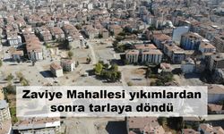 Zaviye Mahallesi yıkımlardan sonra tarlaya döndü