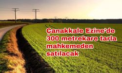 Çanakkale Ezine'de 300 metrekare tarla mahkemeden satılacak