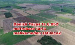 Denizli Tavas'ta 6.052 metrekare tarla mahkemeden satılacak