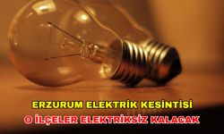 14 Ağustos 2024 Erzurum elektrik kesintisi ne kadar sürecek? İşte o saatler... - Aras Elektrik kesintisi