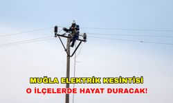 14 Ağustos 2024 Muğla elektrik kesintisi tüm planlarınızı bozacak! İşte o saatler... Aydem Elektrik kesintisi (ADM)