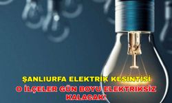 14 Ağustos 2024 Şanlıurfa elektrik kesintisi o ilçelerde saatlerce sürecek! -Dicle Elektrik kesintisi