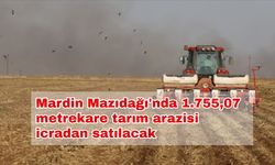 Mardin Mazıdağı'nda 1.755,07 metrekare tarım arazisi icradan satılacak