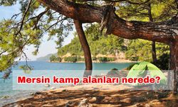 Mersin kamp alanları nerede? Mersin çadır kamp alanları nerede? Mersin deniz kamp alanları nasıl gidilir?