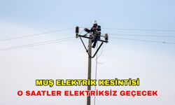 17 Temmuz 2024 Muş elektrik kesintisi  geliyor: İşlerinizi bugün bitirin! -Vangölü Elektrik kesintisi