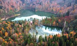 Artvin'e bir de böyle bakın, o yere gidince çok şaşıracaksınız!
