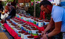 Bartın festival ve şenlikler nelerdir? Bartın'daki en güzel şenlik hangisi?