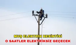 16 Temmuz 2024 Muş elektrik kesintisi uyarısı: İşlerinizi bugün bitirin! -Vangölü Elektrik kesintisi