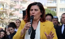 Özlem Çerçioğlu hangi partiye geçti?