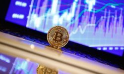 Pond Coin Nedir? Marlin (POND) Ne İşe Yarar?