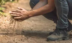 Teyemmüm nasıl alınır? Teyemmüm abdesti nasıl alınır sırasıyla? Evde duvara teyemmüm nasıl alınır?