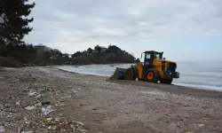 Sahilde vahşet! Çok sayıda ölü köpek bulundu