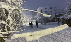 Van'da sağanak ve kar hayatı olumsuz etkiledi