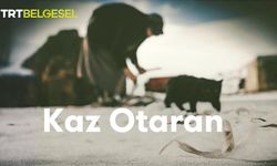 Kaz Otaran ne demek? Kaz Otaran konusu ne?