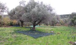 Karaburun furması tescil aldı