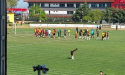 Amatör maçta futbolcular arasında kavga: Futbolcular sahayı terk etti!