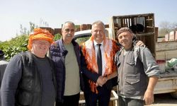 CHP Urla'da yüzde 70.47 ile rekor kırdı