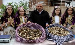 Dastar ve Kuzugöbeği Mantar Festivali ne zaman? Dastar ve Kuzugöbeği Mantar Festivali'nde kim konser verecek?