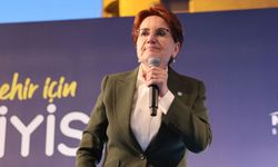 Meral Akşener 'referans' iddialarını yalanladı: Bana vurmanın bedeli yok
