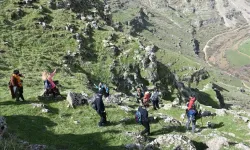 Şırnak mangal yapılacak yerler: Şırnak'ta en güzel mangal piknik alanları nerede?