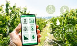 Ödemiş'te tarım fuarı heyecanı
