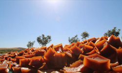 Şanlıurfa'nın "Hasenik pestili" coğrafi işaretle tescillendi!