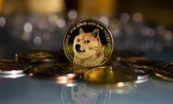 Dogecoin simgesi ne? Kabosu kimdir?