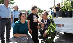 Bornova’da yerel üreticilere 10 bin meyve fidanı desteği