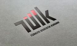 TÜİK 21 sözleşmeli yazılımcı alacak