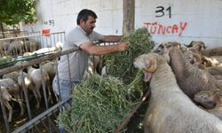 Edremit’te Kurban Bayramı hazırlıkları tam gaz