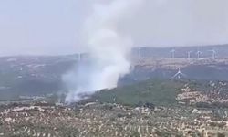 İzmir Bergama'da orman yangını çıktı